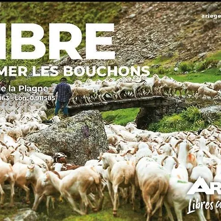 Au Coeur Des 3 Vallees !!! Ussat
